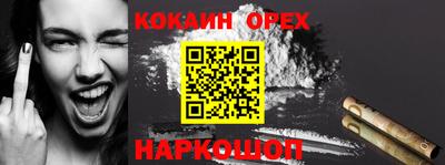 крисы Камышлов