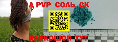 крисы Камышлов