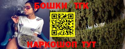 крисы Камышлов