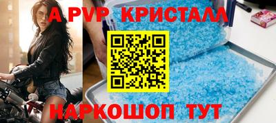 крисы Камышлов