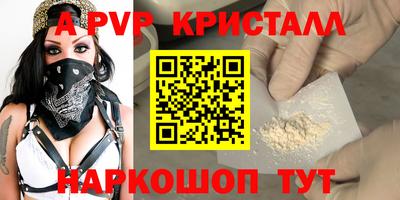 крисы Камышлов
