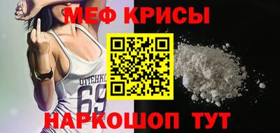 крисы Камышлов