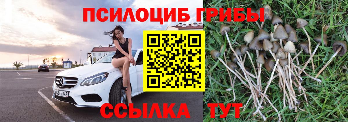 Псилоцибиновые грибы мухоморы  Вход с VPN  Галлюциногенные грибы мухоморы  Костомукша 
